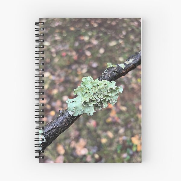 Item preview, Lichen on a Stick designed and sold by Oxymoronic Madness.