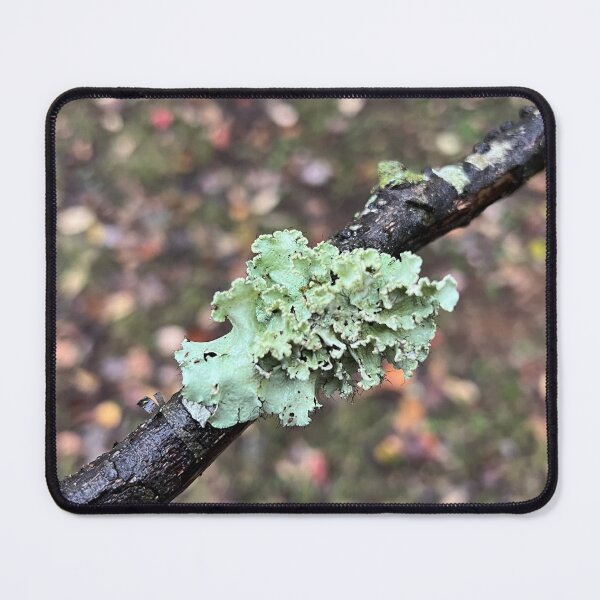 Item preview, Lichen on a Stick designed and sold by Oxymoronic Madness.