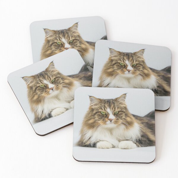 Item preview, Siberian Cat Portrait on White Background designed and sold by StudioAluna.