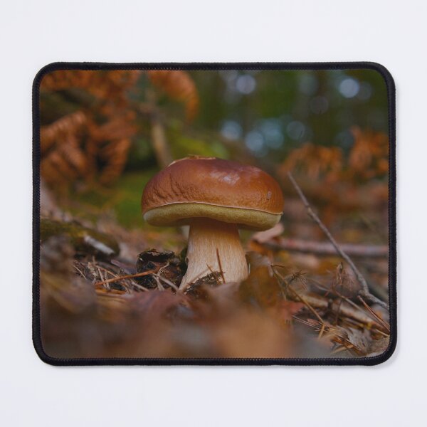 Item preview, Fresh Brown Cap Mushroom Growing on Forest Floor in Autumn designed and sold by Shemski.