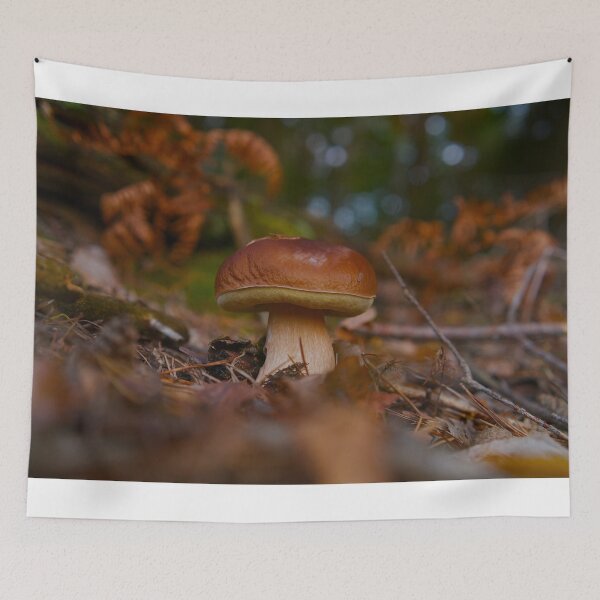 Item preview, Fresh Brown Cap Mushroom Growing on Forest Floor in Autumn designed and sold by Shemski.