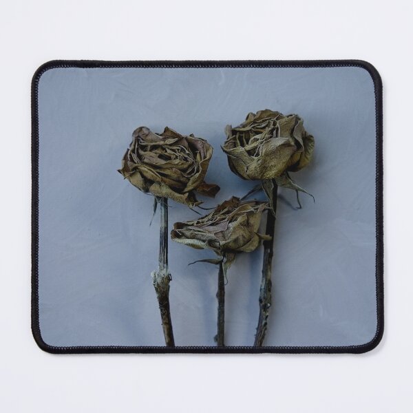 Item preview, Three dead roses designed and sold by gailgriggs.