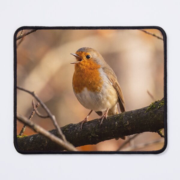 Item preview, Singing European Robin on Autumn Branch designed and sold by roverte.