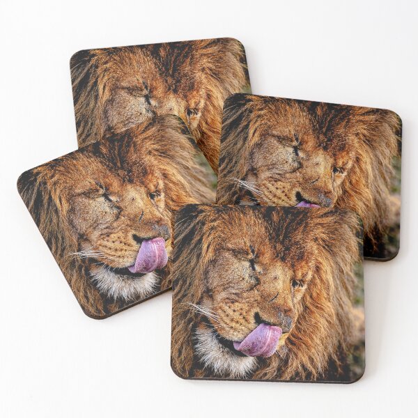 Item preview, Majestic lion licks his mouth – African king of the animals designed and sold by Tammigrafie.
