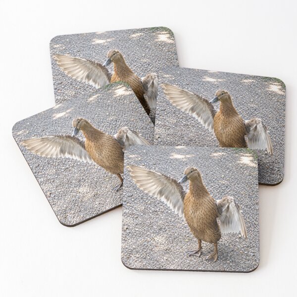 Item preview, Female Mallard Duck's Dynamic Wing Display designed and sold by Astute-Artio-Photography.