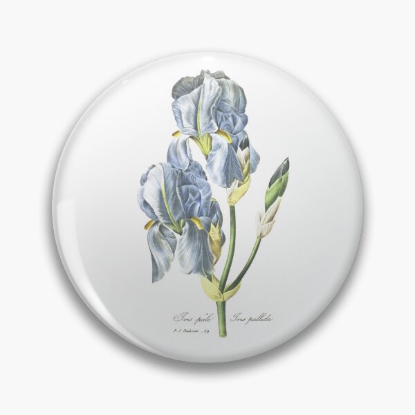 Item preview, Redouté Blue Iris botanical illustration designed and sold by Anne Londez Studio.