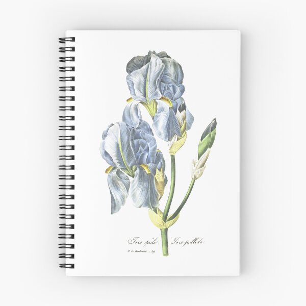 Item preview, Redouté Blue Iris botanical illustration designed and sold by Anne Londez Studio.