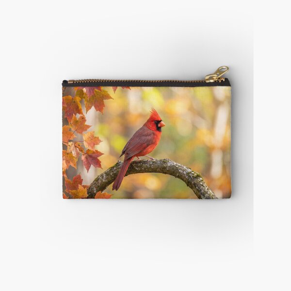 Aperçu de l'œuvre Red Northern Cardinal Bird in Autumn créée et vendue par roverte.