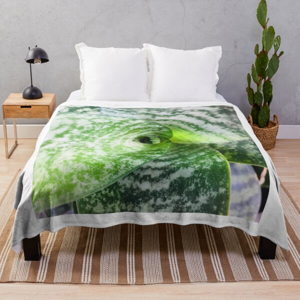 Item preview, Variegated Snake Plant Top View Foliage designed and sold by Luxxe87.