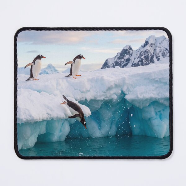 Item preview, Penguins in Antarctica Penguin Diving Into Icy Ocean designed and sold by roverte.
