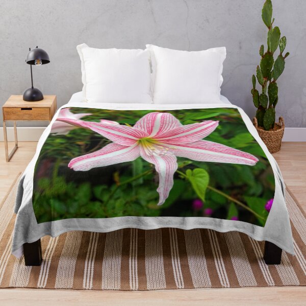 Item preview, Vibrant Pink Striped Amaryllis Flower Bloom designed and sold by Luxxe87.