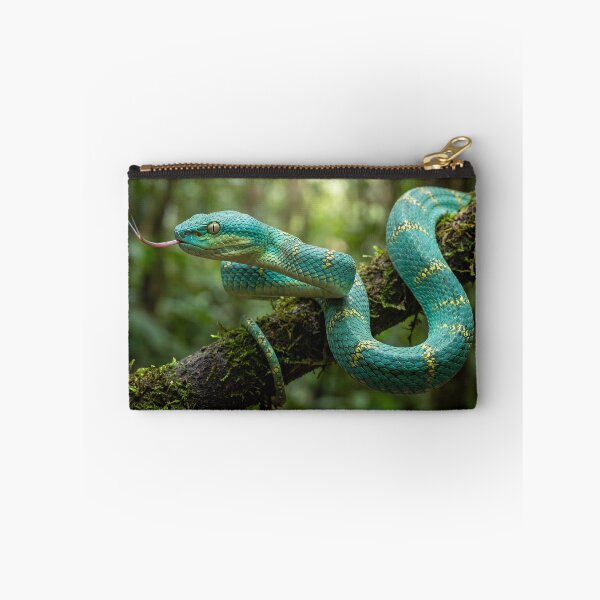 Item preview, Turquoise Green Viper Snake  designed and sold by roverte.