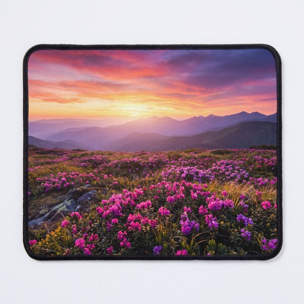 Item preview, Mountain Sunset Over Pink Wildflower Meadowy designed and sold by roverte.