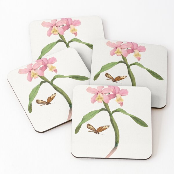 Item preview, Le Jardin Des Plantes by Paul Gervais designed and sold by AngyDesigns49.