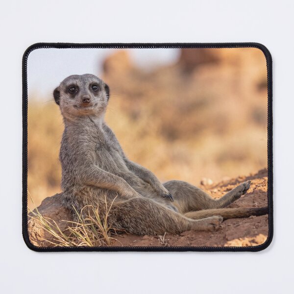 Item preview, Funny Meerkat Relaxing in the Desert designed and sold by roverte.