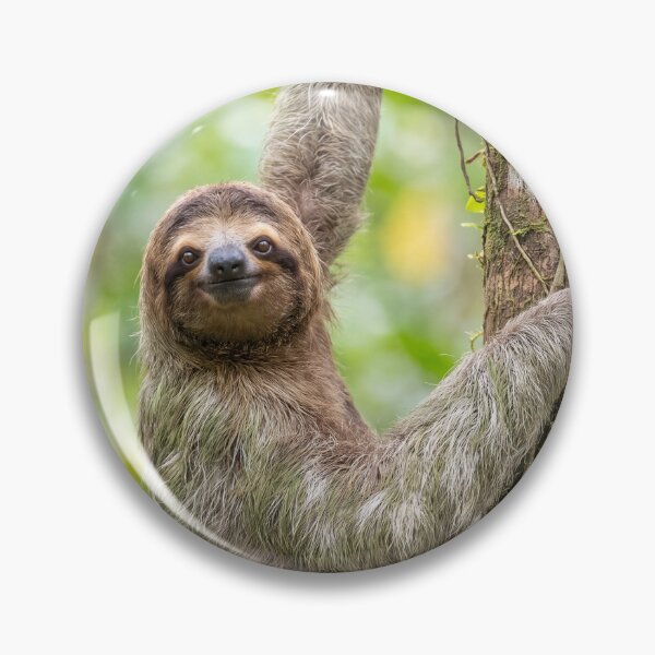 Item preview, Cute Smiling Sloth Hanging in Rainforest Tree designed and sold by roverte.