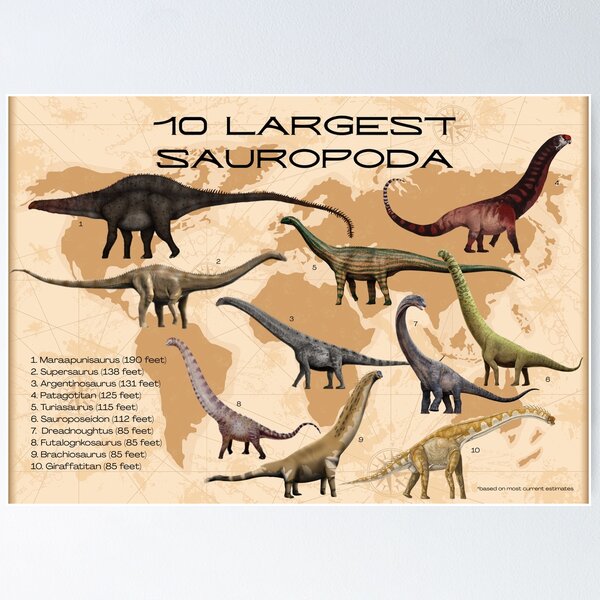 Item preview, Largest Sauropoda designed and sold by Mosaic Homeschool Co-Op.