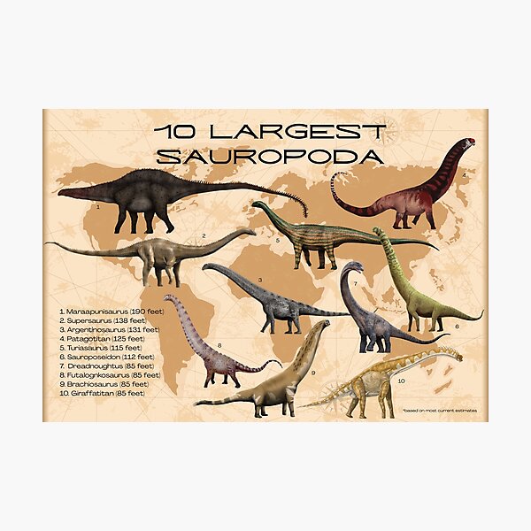 Item preview, Largest Sauropoda designed and sold by Mosaic Homeschool Co-Op.