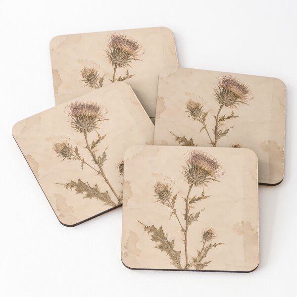 Item preview, Vintage Botanical Thistle Watercolour on Aged Parchment designed and sold by Jozefin's Studio.