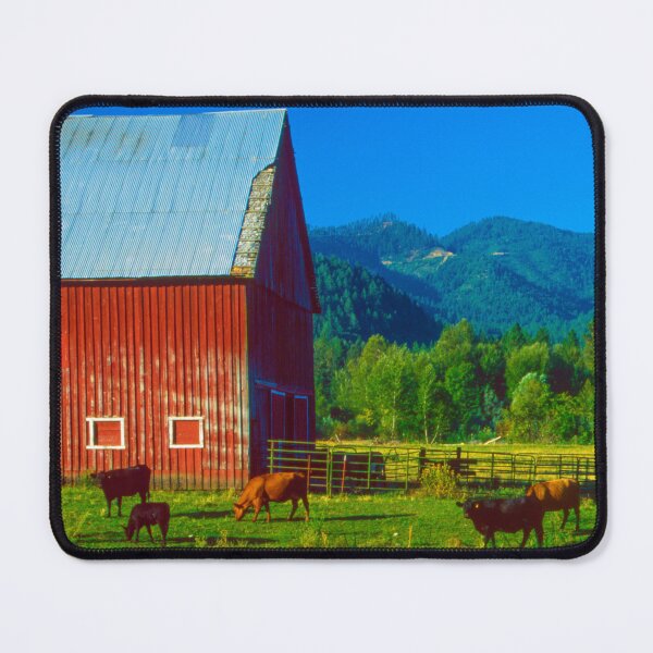 Item preview, Rural Red Barn and Grazing Cows designed and sold by jklune.