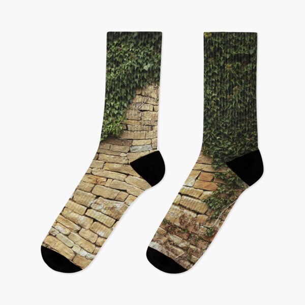 Item preview, Break in the Ivy designed and sold by Murph's Images.