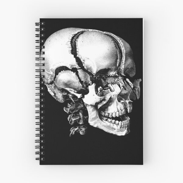 Item preview, Skull with Separated Bones, Anatomical Lithograph by N. H. Jacob after Bourgery, 1831-1854 designed and sold by Exhumed Archives.