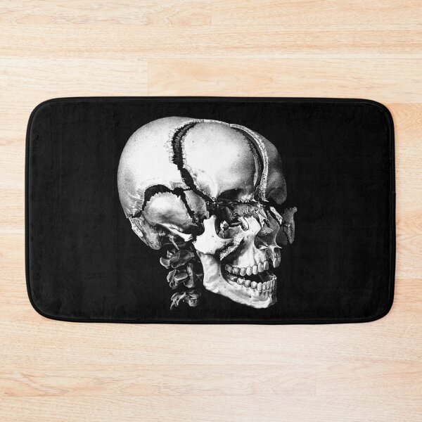 Item preview, Skull with Separated Bones, Anatomical Lithograph by N. H. Jacob after Bourgery, 1831-1854 designed and sold by Exhumed Archives.