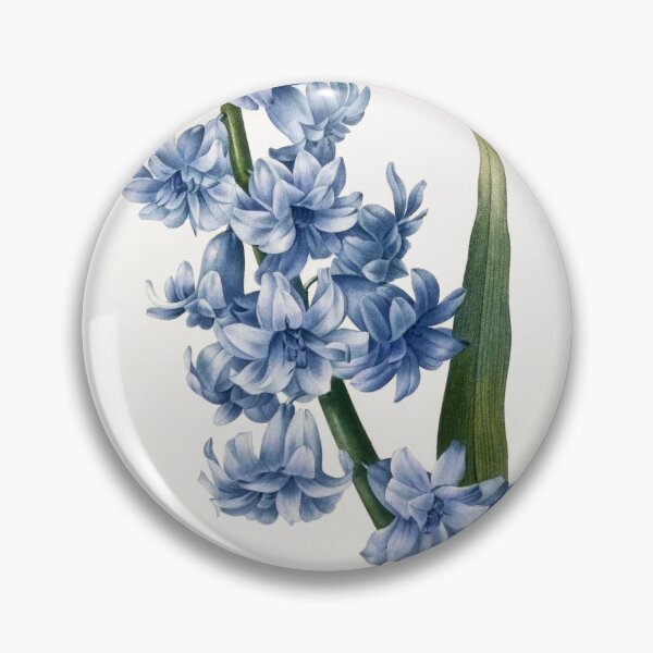 Item preview, Oriental hyacinth. Blue variety (1827), vintage flower illustration by after Pierre-Joseph Redouté designed and sold by AngyDesigns49.