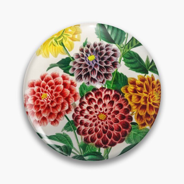 Item preview, Dahlia illustrated by Charles Dessalines D' Orbigny (1806-1876) designed and sold by AngyDesigns49.