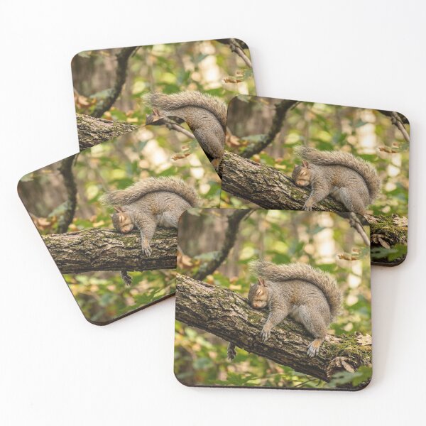 Item preview, Lazy squirrel designed and sold by Stevercortinas.