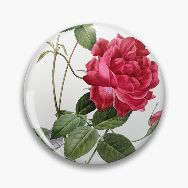 Item preview, Blood-Red Bengal Rose, Rosa indica cruneta from Les Roses (1817–1824) by Pierre-Joseph Redouté designed and sold by AngyDesigns49.