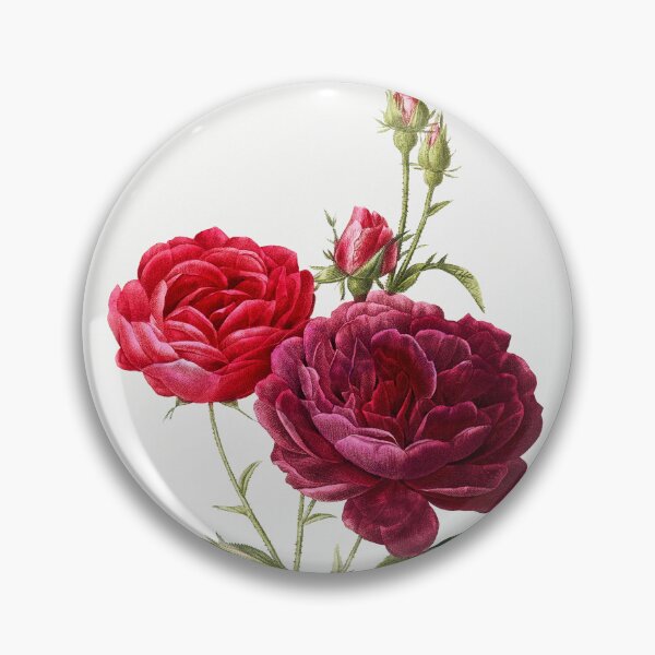 Item preview, Purple French Rose, Rosa gallica purpuro-violacea magna from Les Roses (1817–1824) by Pierre-Joseph Redouté designed and sold by AngyDesigns49.
