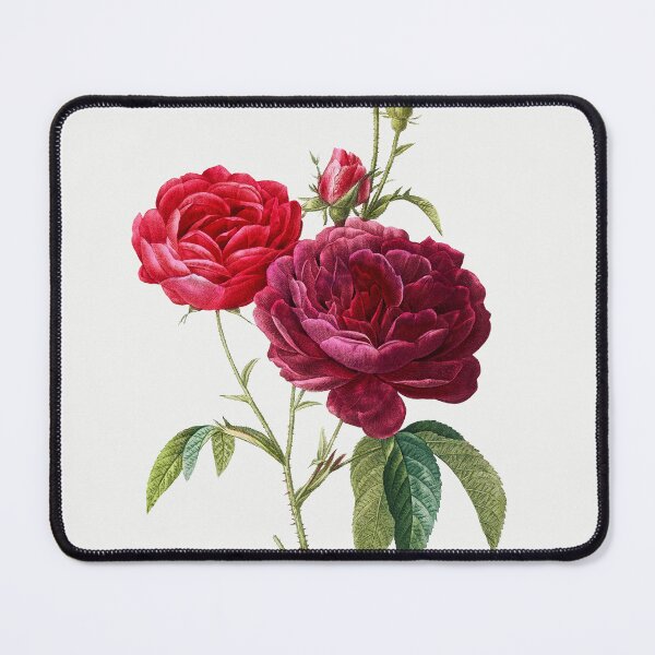 Item preview, Purple French Rose, Rosa gallica purpuro-violacea magna from Les Roses (1817–1824) by Pierre-Joseph Redouté designed and sold by AngyDesigns49.