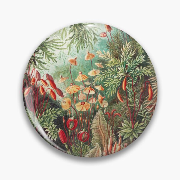 Item preview, Muscinae–Laubmoose _ A. Giltsch, gem from Kunstformen der Natur (1904) by Ernst Haeckel designed and sold by AngyDesigns49.