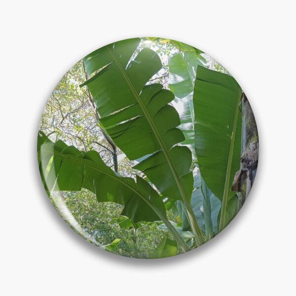 Item preview, "Tropical Banana Palm: Green Canopy & Jungle Light" designed and sold by PicturePic.