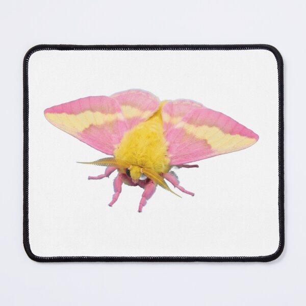 Item preview, Rosy Maple Moth – Pink and Yellow Fluffy Portrait designed and sold by Helt-enkelt.