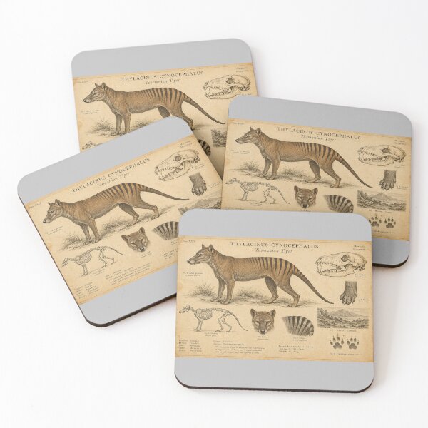 Item preview, Thylacinus Cynocephalus Vintage Natural History Museum Plate designed and sold by Yellowriversss.
