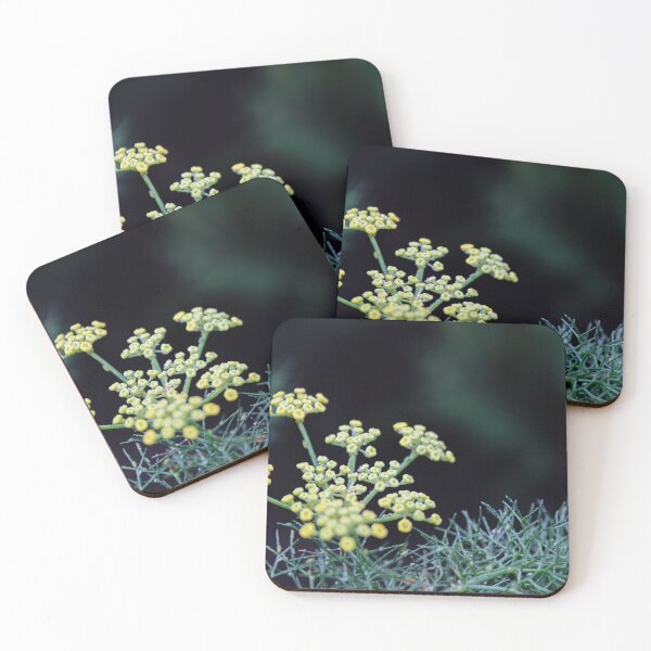 Item preview, Wild Geometry: Fennel Inflorescence in Macro designed and sold by Raccoon-CatART.