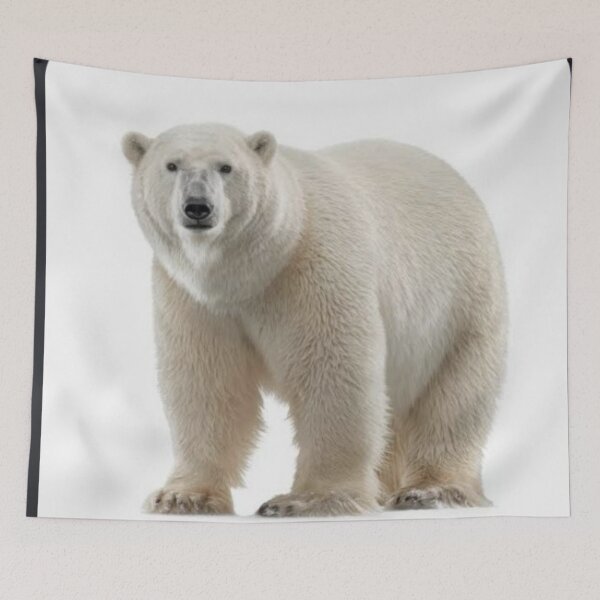 Item preview, the boss designed and sold by Calemsamazonia.