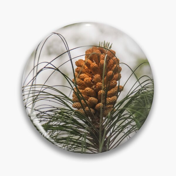 Item preview, Perfect Pine Cone designed and sold by heatherfriedman.