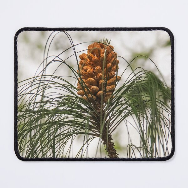 Item preview, Perfect Pine Cone designed and sold by heatherfriedman.