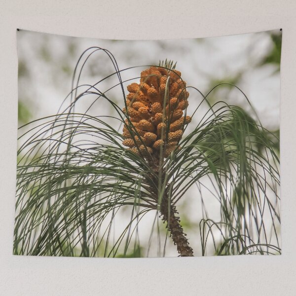 Item preview, Perfect Pine Cone designed and sold by heatherfriedman.