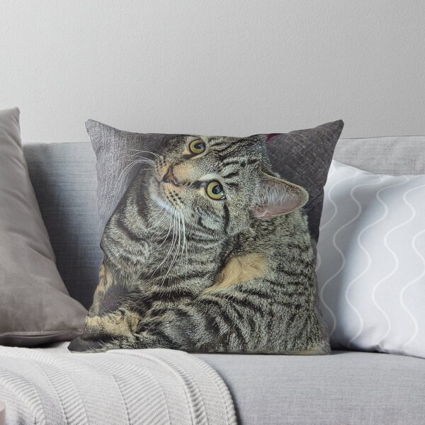 Artikelvorschau, Meine Katze entworfen und verkauft von Catching-A-Star.