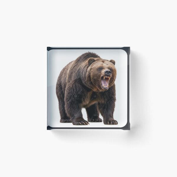 Item preview, angry bear designed and sold by Calemsamazonia.