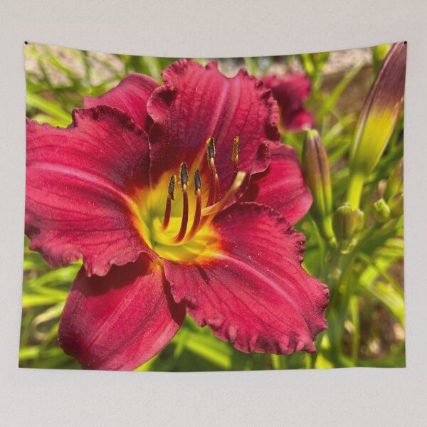 Item preview, Red Day Lily designed and sold by KoalaTeaPhotogr.