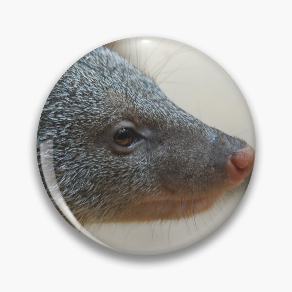 Item preview, Central Park Zoo, Banded mongoose (Mungos mungo) designed and sold by capovtxphotography.