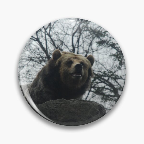 Item preview, Central Park Zoo, Grizzly Bear (Ursus arctos horribilis) designed and sold by capovtxphotography.