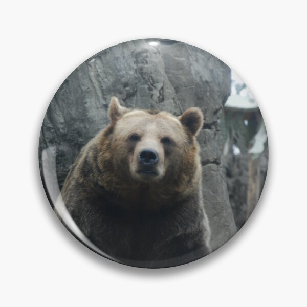 Item preview, Central Park Zoo, Grizzly Bear (Ursus arctos horribilis) designed and sold by capovtxphotography.