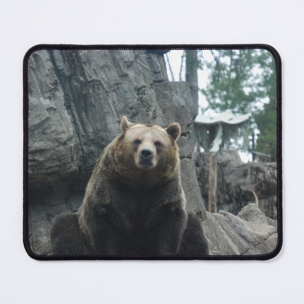 Item preview, Central Park Zoo, Grizzly Bear (Ursus arctos horribilis) designed and sold by capovtxphotography.