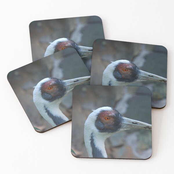 Item preview, Central Park Zoo, White-naped crane (Antigone vipio) designed and sold by capovtxphotography.